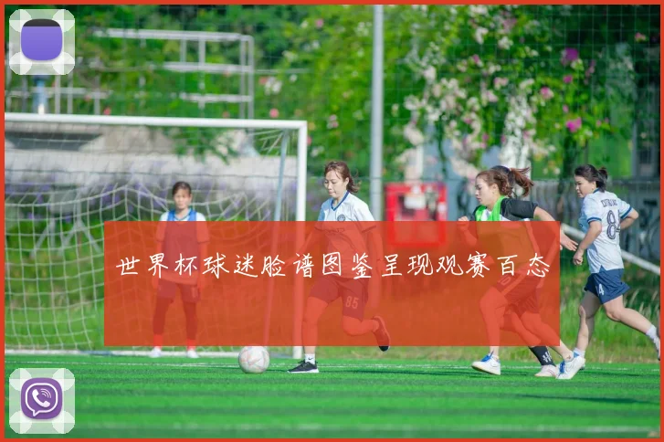 世界杯球迷脸谱图鉴呈现观赛百态