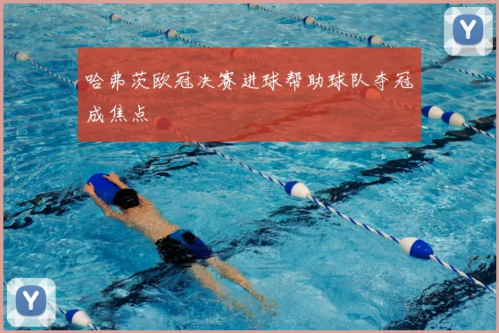 哈弗茨欧冠决赛进球帮助球队夺冠成焦点