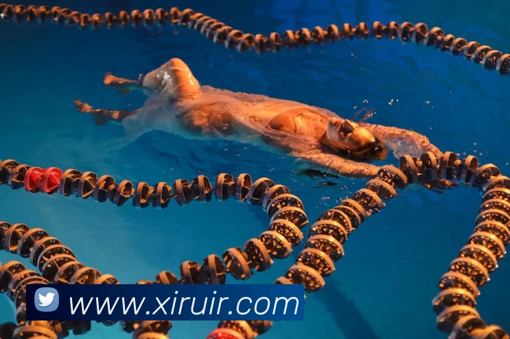 买球官方全站App